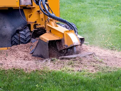 Stump Grinding