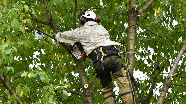 tree-surgeon