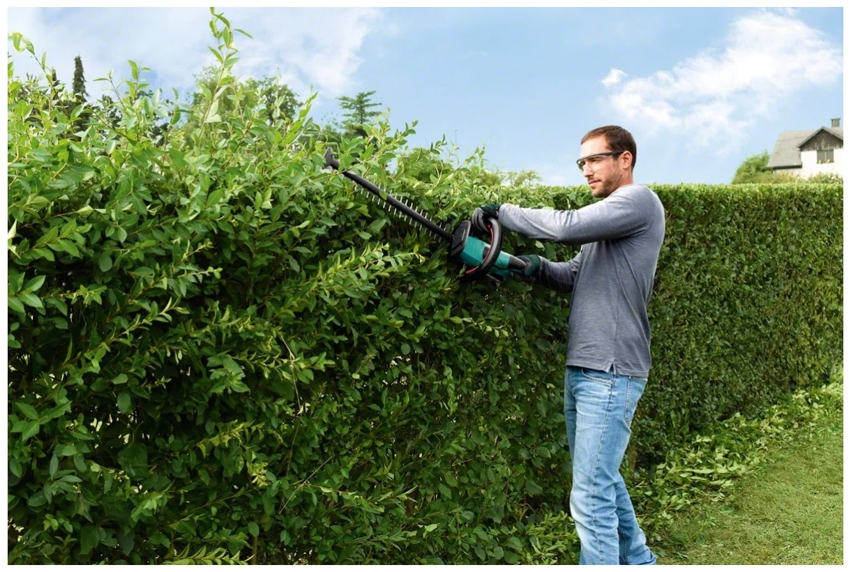 Hedge Trimming