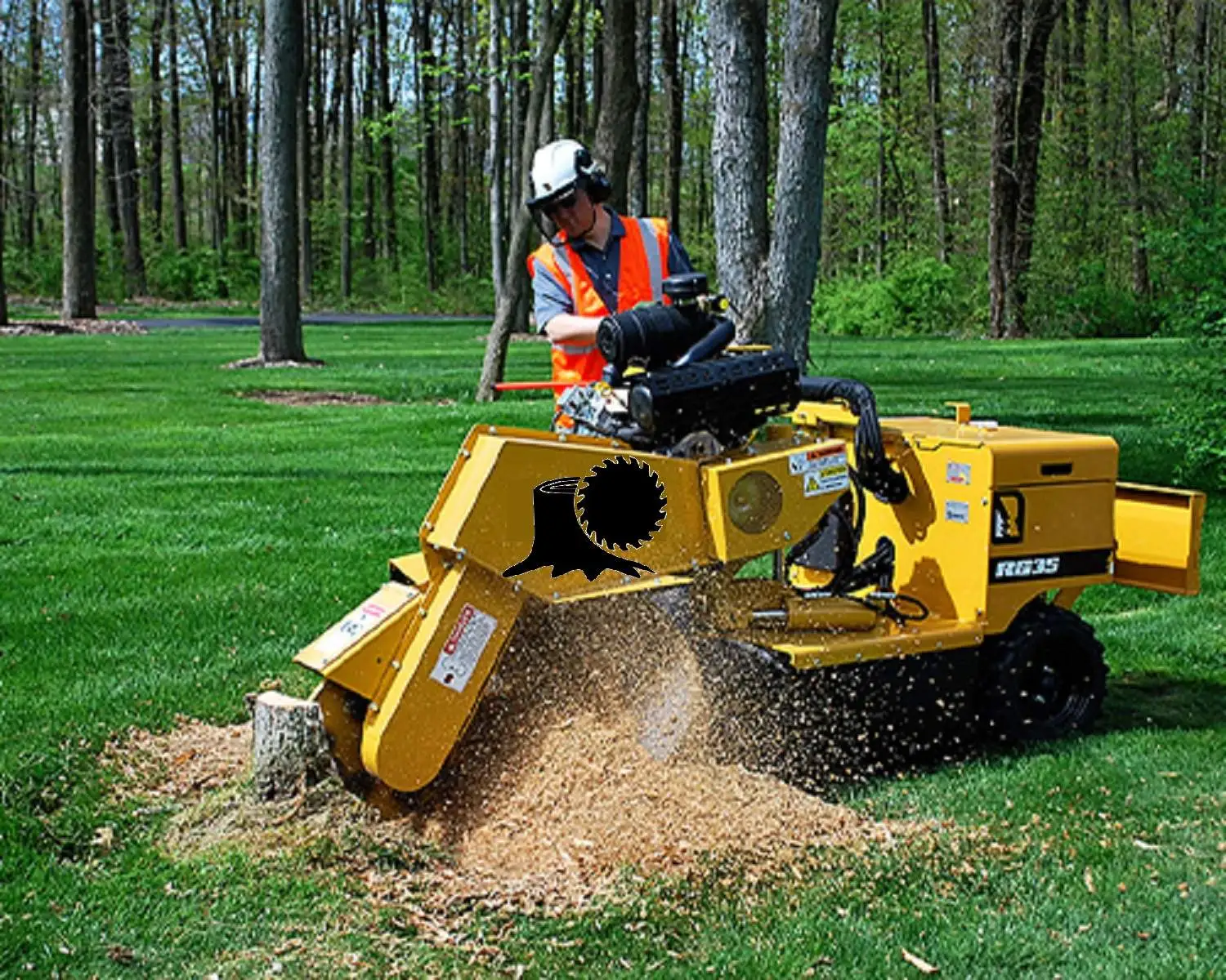 tree-stump-grinding