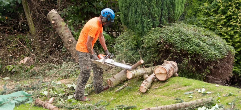 Tree Surgeons