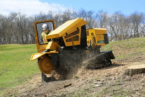 Stump Grinding