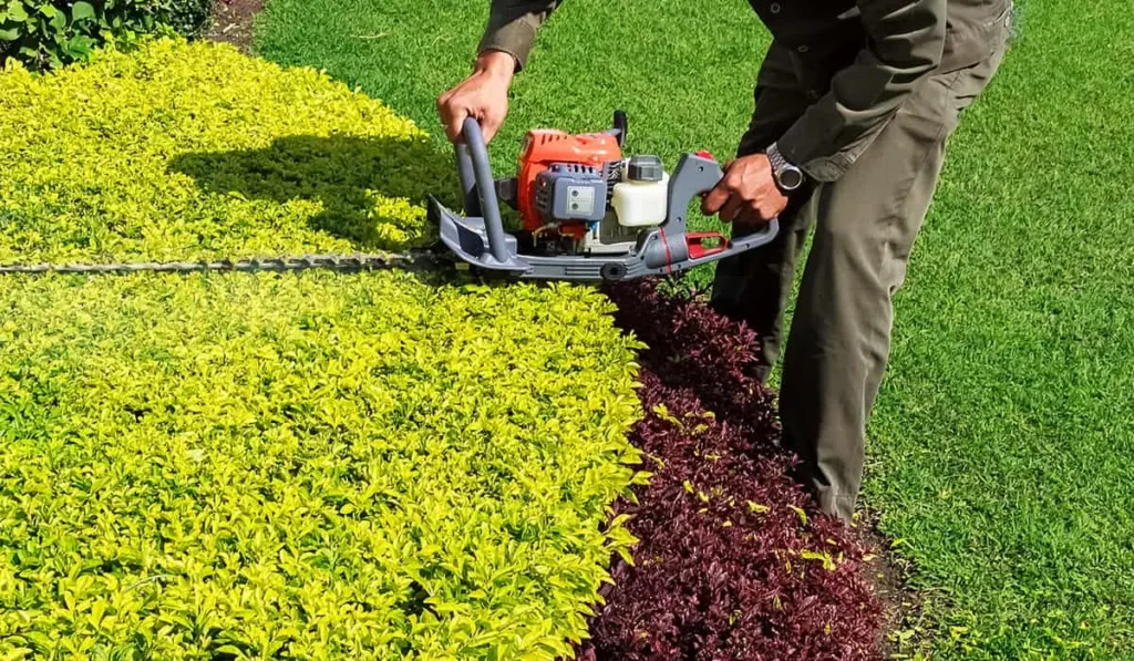 hedge trimming bournemouth